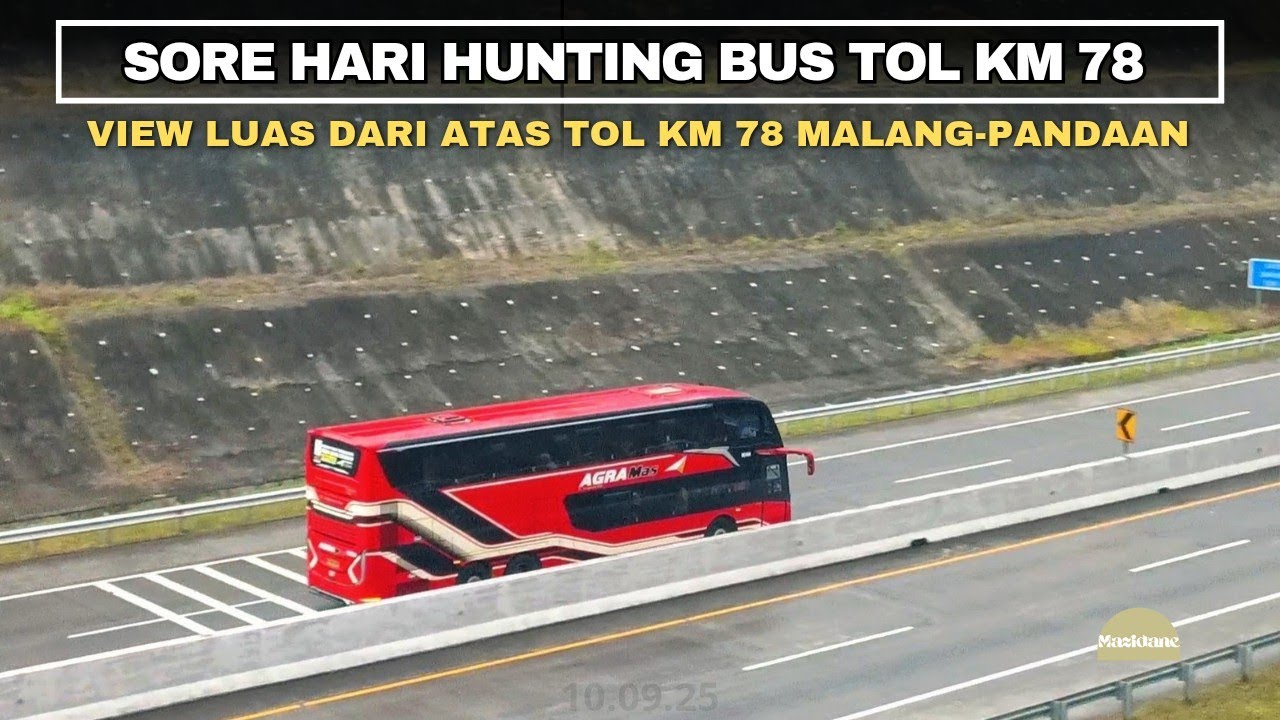 HUNTING BUS DIENGAN VIEW TOL TERBAIK DI RUAS TOL MALANG PANDAAN RAMAI BUS ANGKAT SORE