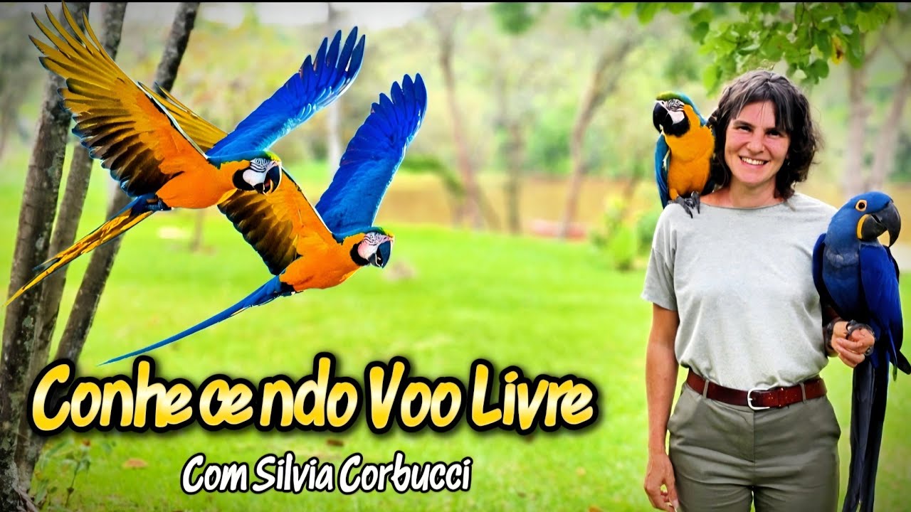 Segredos do Voo Livre com Aves: Dicas de uma Especialista