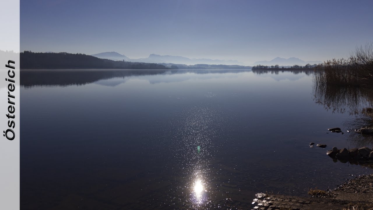 Wallersee Uferweg [4K]