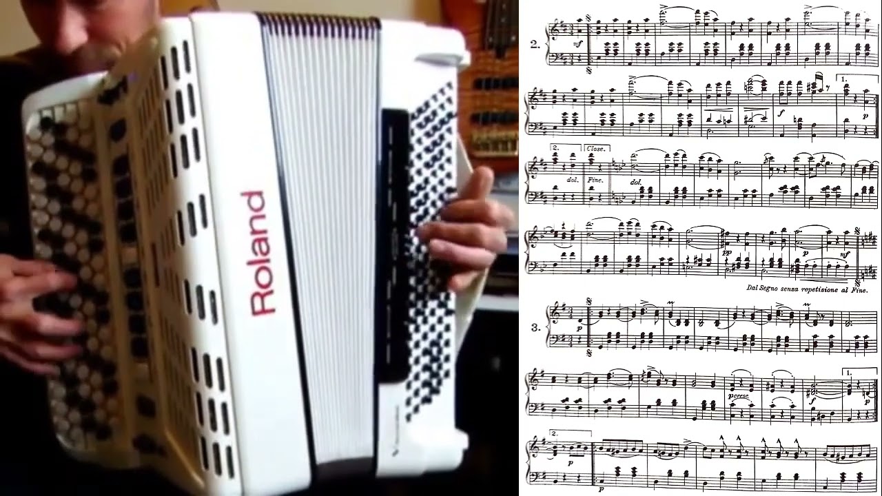 Strauss - The Blue Danube Waltz on accordion (score)