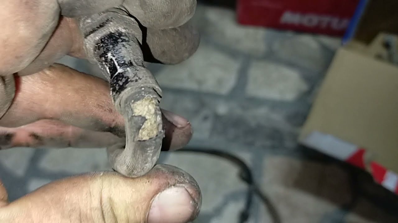FREN HORTUMU CAN KURTARIR ( Canımız bunlara emanet )