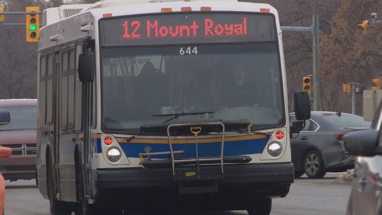 Regina Transit challenge organizers hope to show city council what bus service is missing