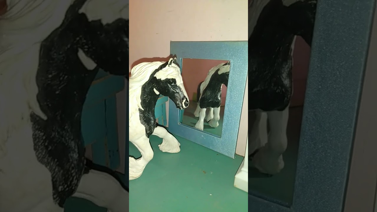 #schleich #funnyvideo #weird #dramatic #funny #bad