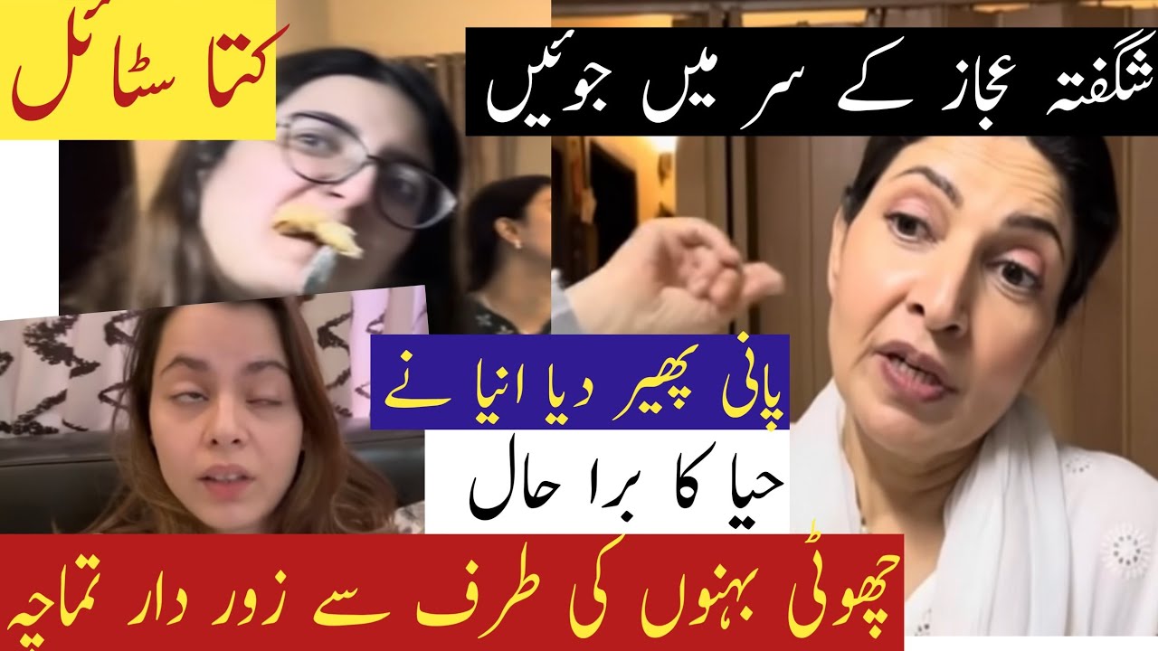 Zor Daar Thaparh || Haya ky kyea karye par Anya ny paani phair dya|| Shaggy ny Joon pakarh li🦥