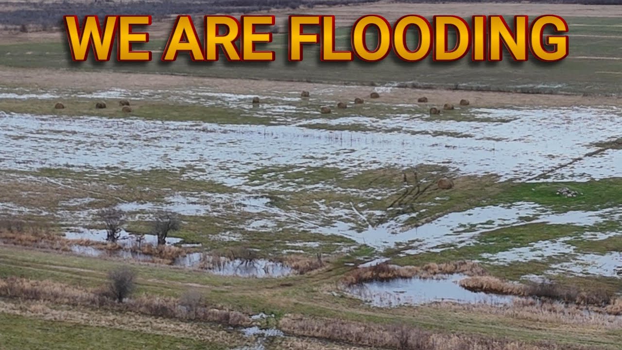 Мы мокрые! Слишком много воды!