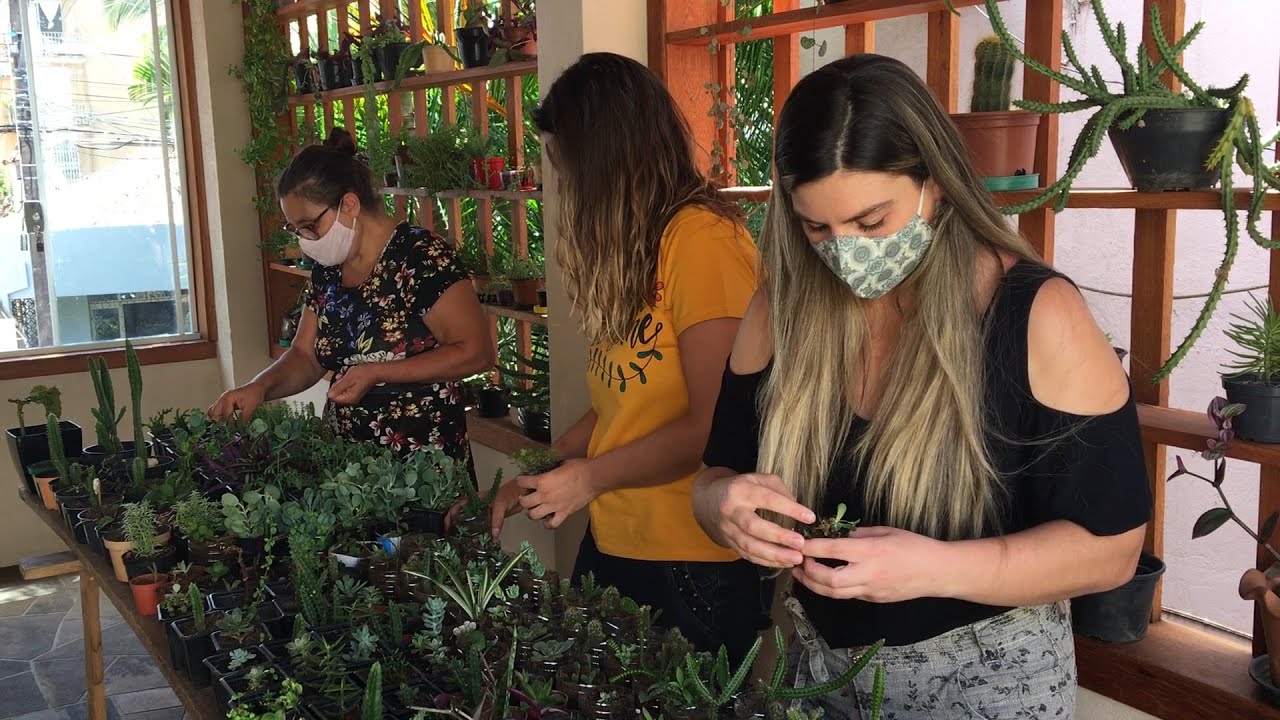 Mãe e filhas criam empresa de venda de plantas durante a pandemia