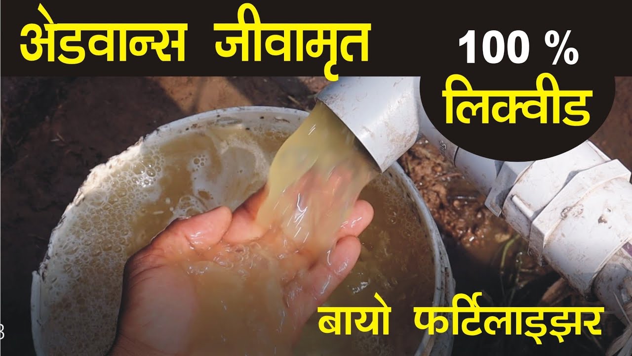 Advance Jivamrut all information। bio liquid fertilizer । बायो लिक्विड खाद । 9106310963