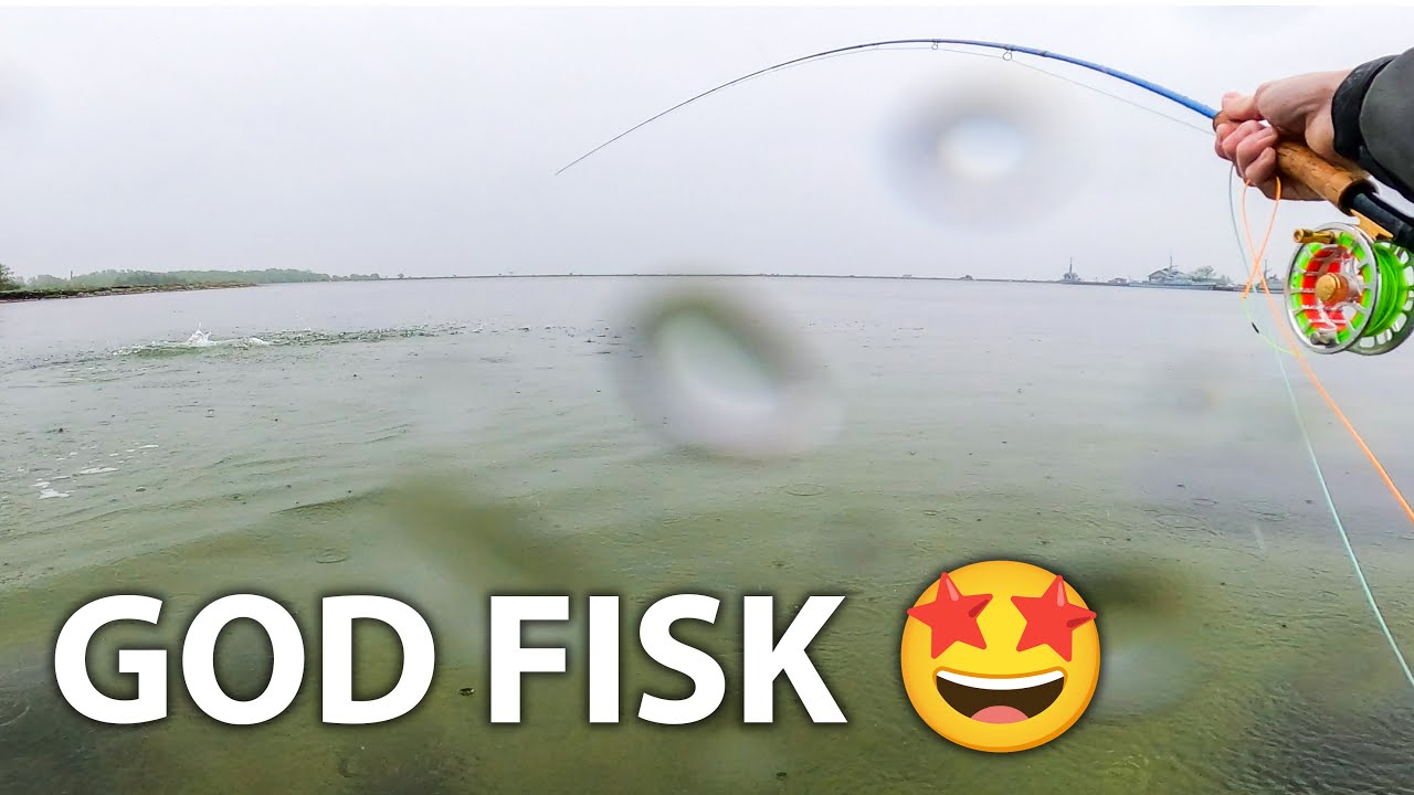 Flue fiskeri 🎣 hvad er det nu for noget 🫣 Havørred fiskeri
