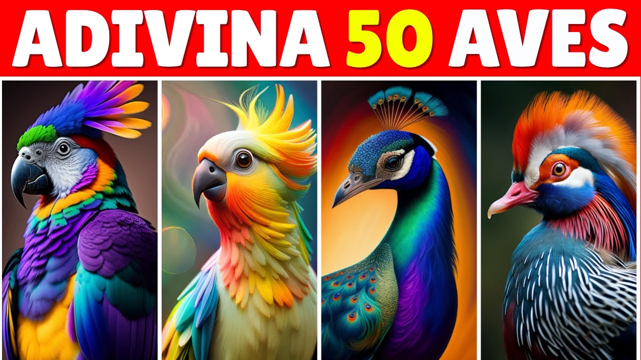 Adivina el Nombre de 50 Animales - Especial Aves 🦉🦆🦇 Adivina el Animal