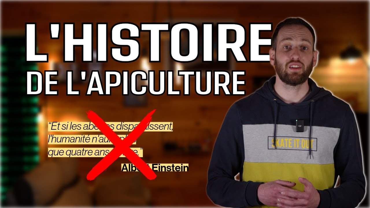L'Histoire de l'Apiculture