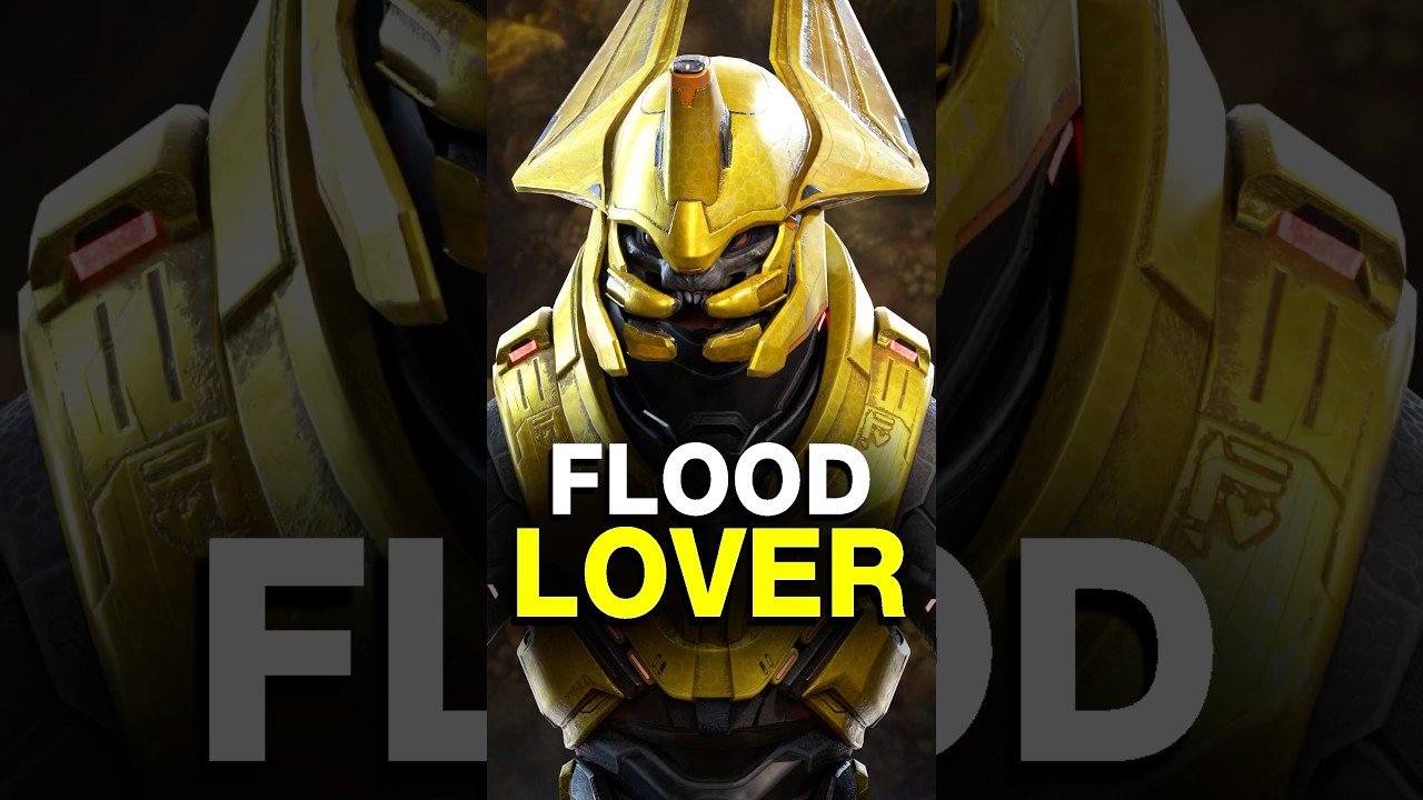 This Elite WANTED to be Infected by The Flood… | Halo Lore