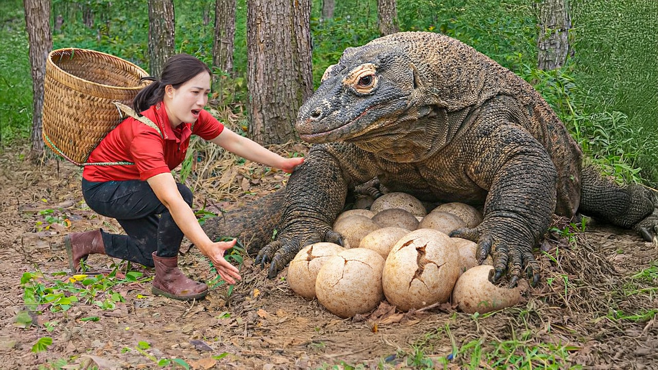 Harvesting +1000 Eggs from Giant Forest Creature, Taming Komodo Dragons Attack farm | Wild Survival