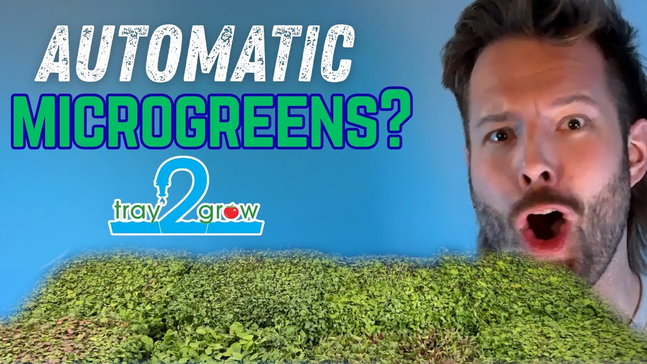 Never Water Microgreens Again with Tray2Grow (Full Setup)