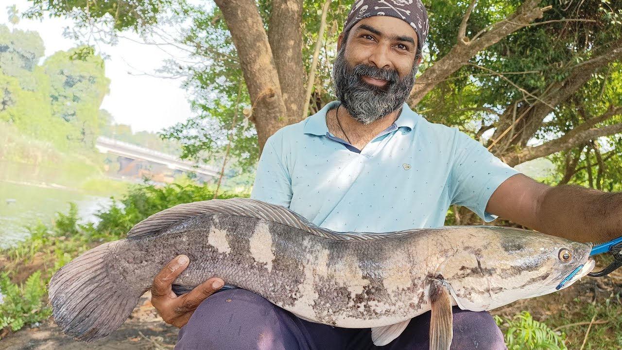 വാഹ കൂട്ടത്തോടെ മറിയുന്നുണ്ട് പക്ഷേ ചൂണ്ടയിൽ അടിക്കുന്നില്ല, എന്നാൽ ഇങ്ങനെ ഒന്ന് ശ്രമിച്ചു നോക്കൂ.🎣