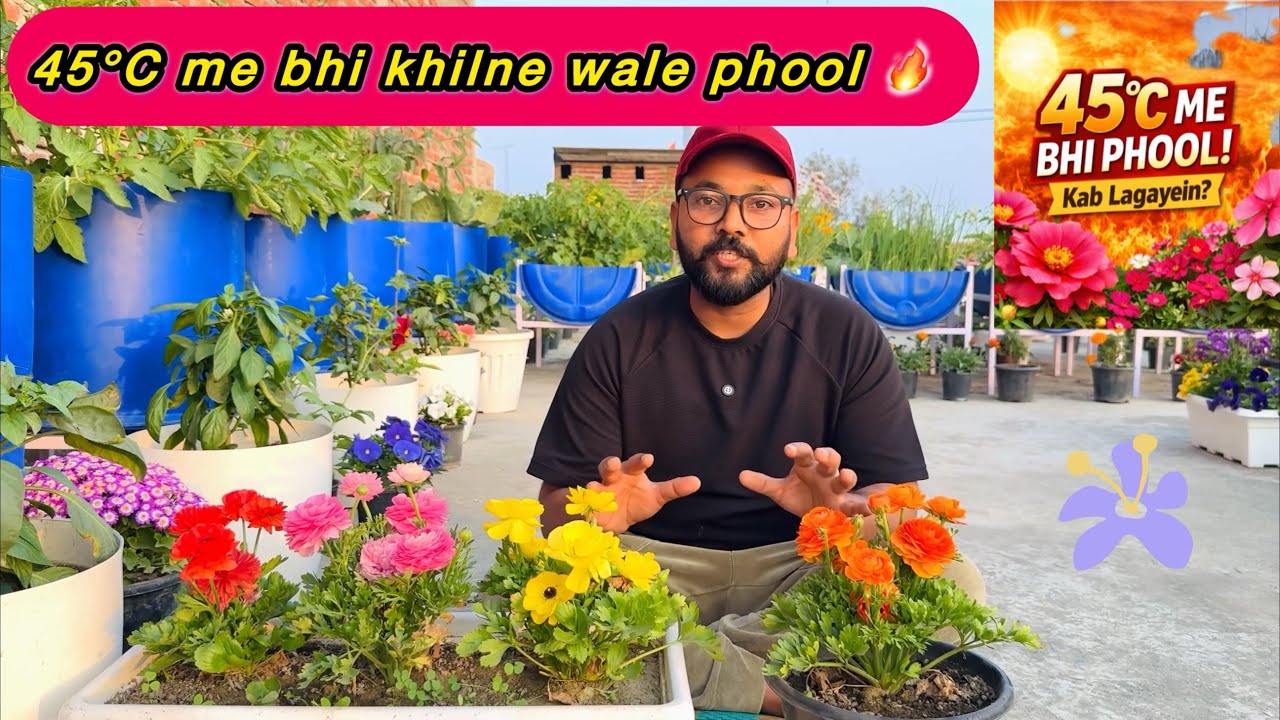 Extreme Garmi Me Kaunse Phool Lagayein?