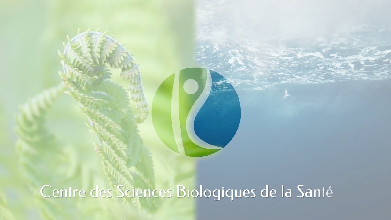 Eau de mer : Utilité du phytoplancton (partie 3)