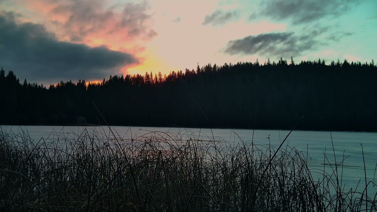 Singing Ice & Winter Sunrise: 1.5 Hours of Mountain Lake Forest Ambience
