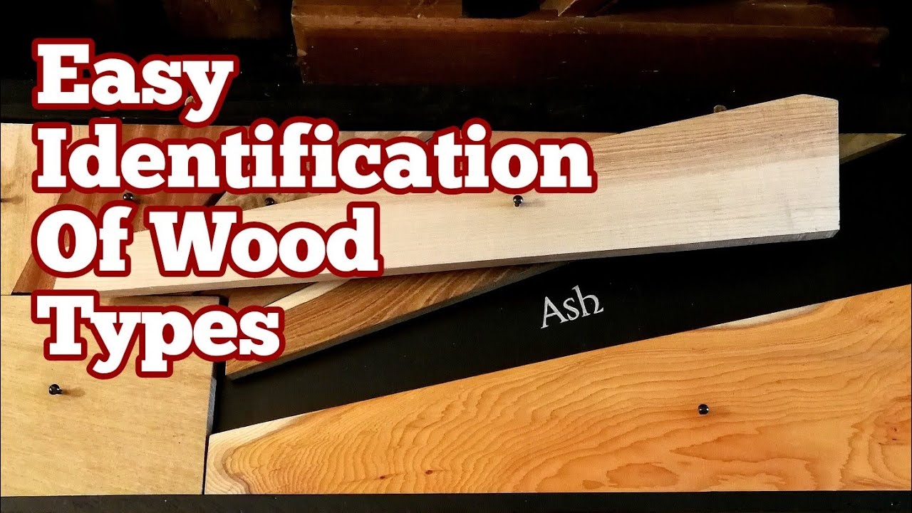 Easy Identification Of Wood Types