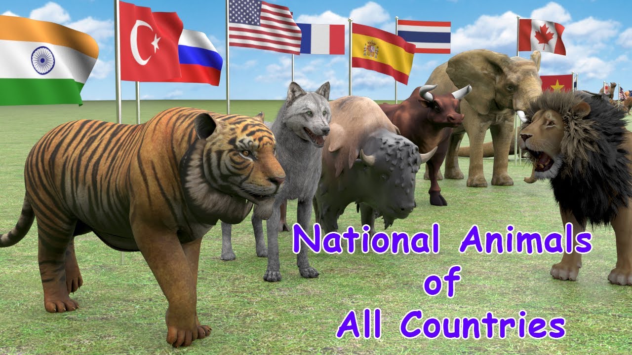 National Animals of Countries | Flags and Countries name With National Animal