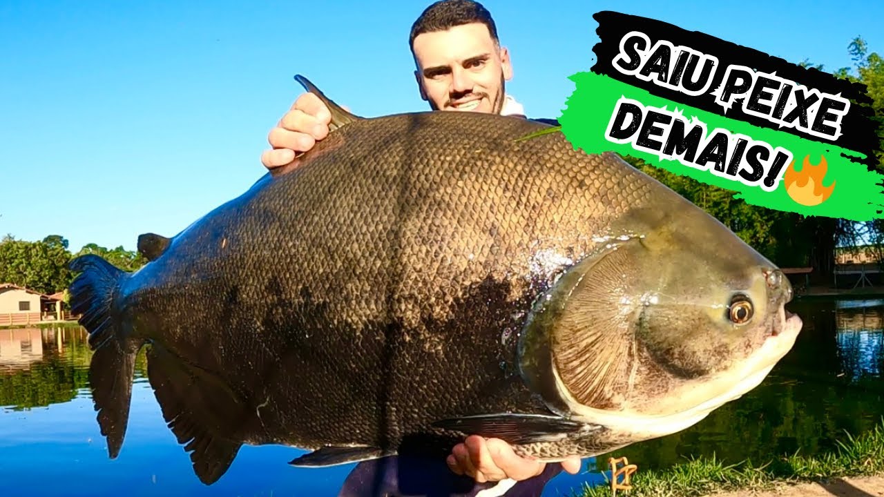 NUNCA TINHA PEGO TANTO PEIXE NESSE LUGAR! Recanto dos gigantes