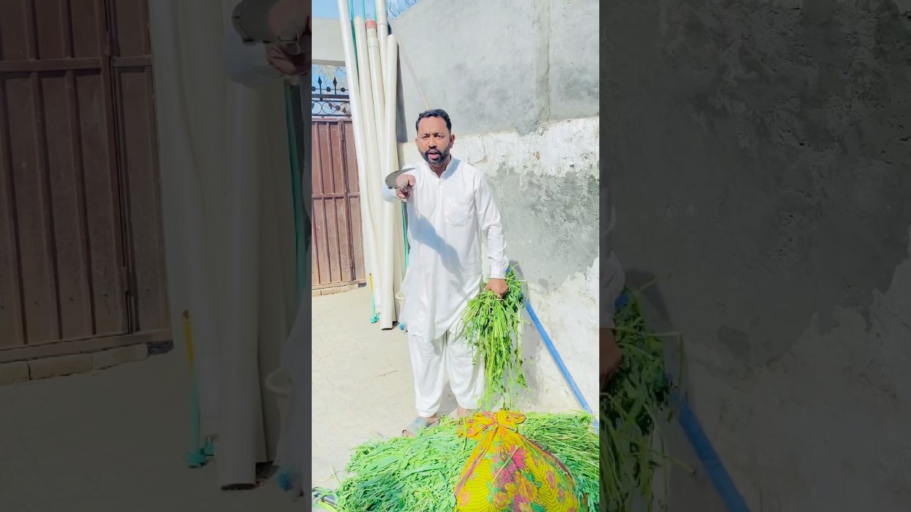 Finish My All Rice 🌾 🌾 #shorts #trending #tiktokvideo #shortsfeed