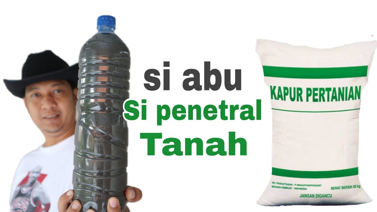 Pengganti Kapur Dolomit, mudah & murah!!!