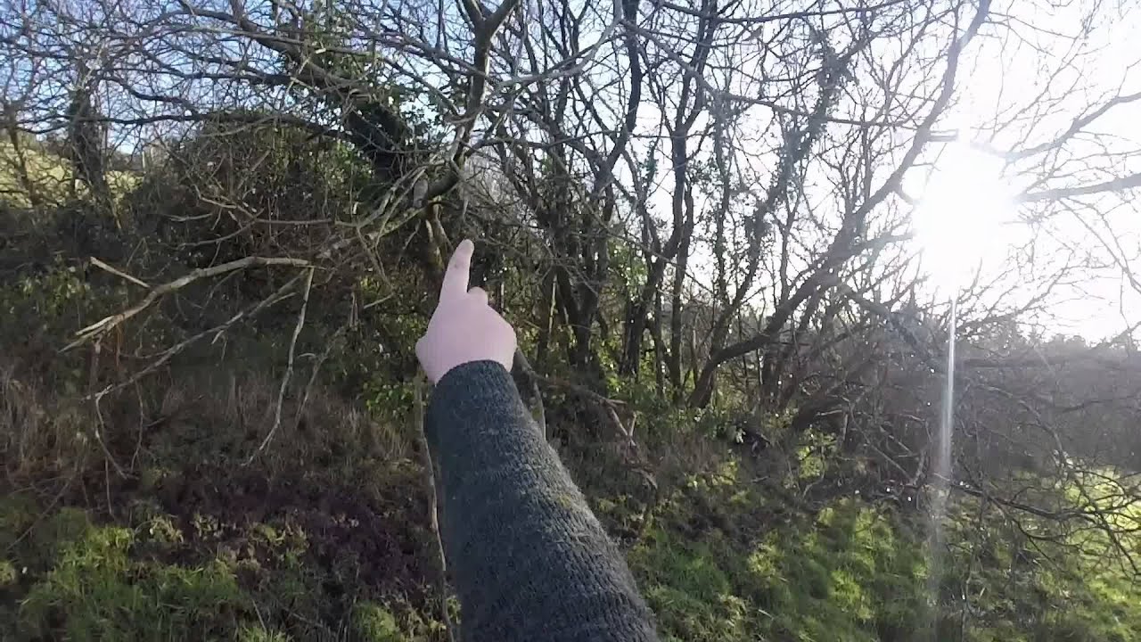 Rough Shooting Pheasants, Woodcock Christmas week Go Pro
