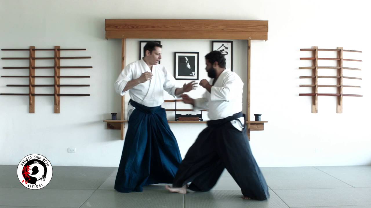 Chudan Tsuki Iriminage Ura