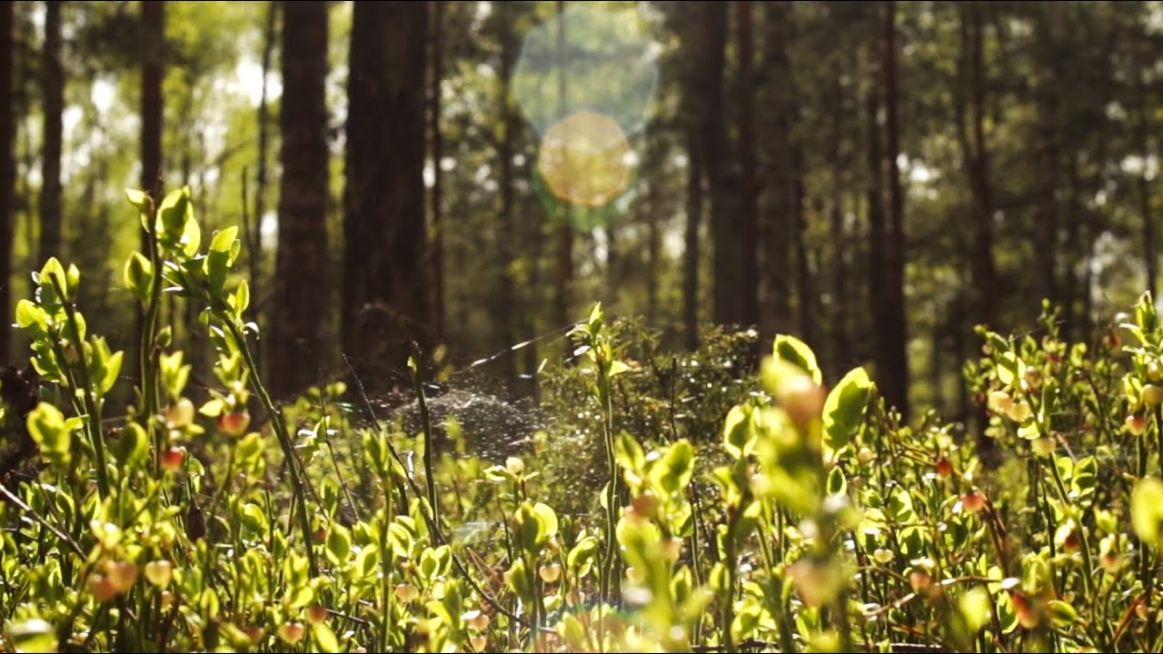 ujęcia niewykorzystane