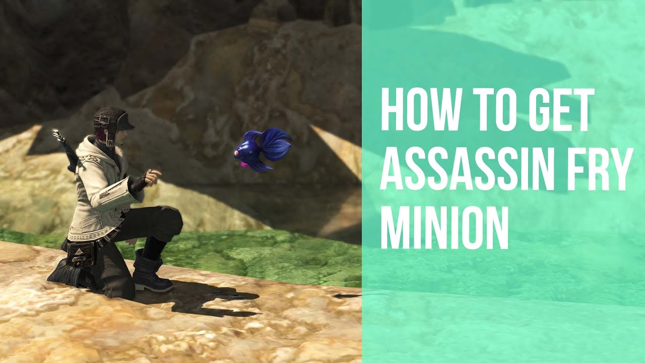 FFXIV - How to easily get the Assassin Fry Minion (Fisher Minion!)