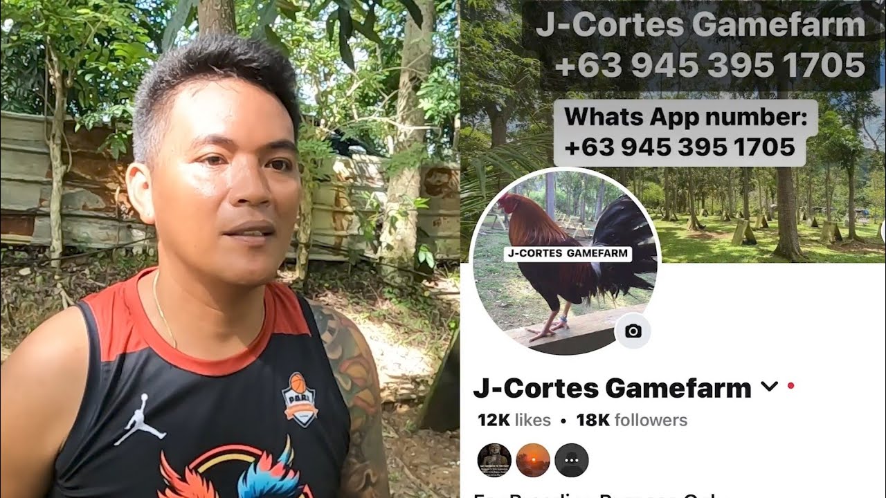 EP654: ang mga available stags sa JCortes GF