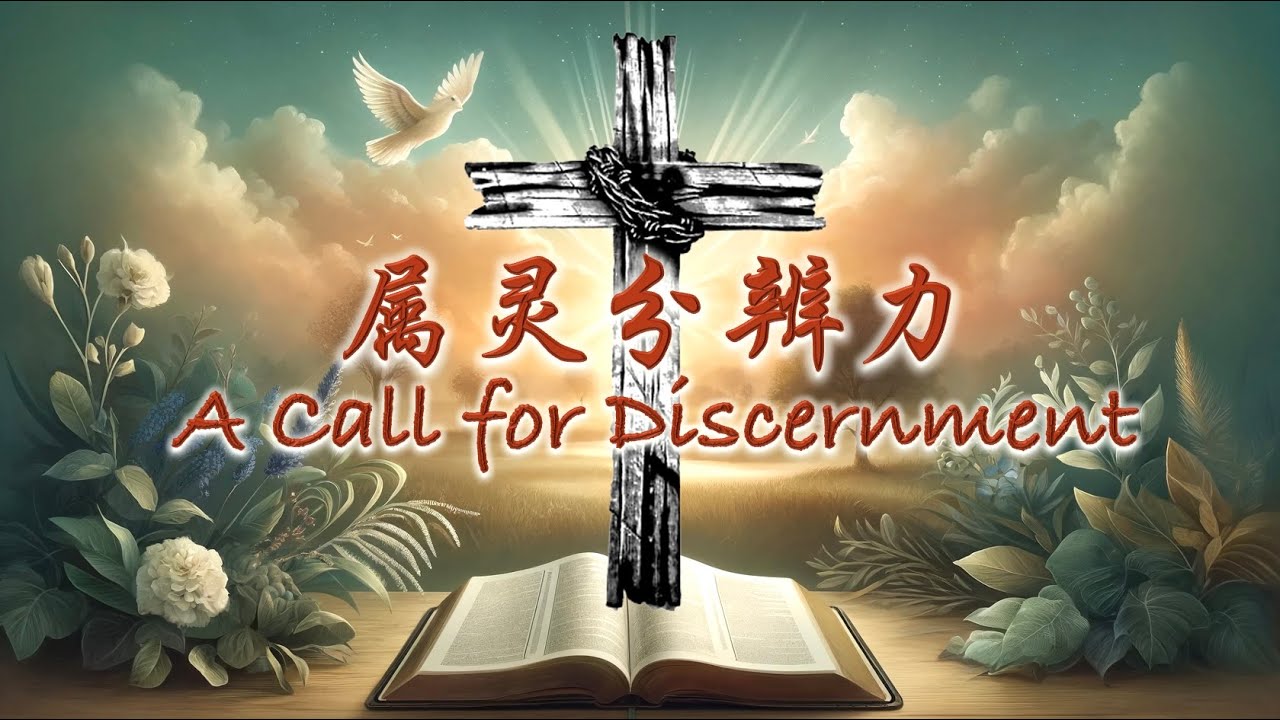 属灵的分辨力 2