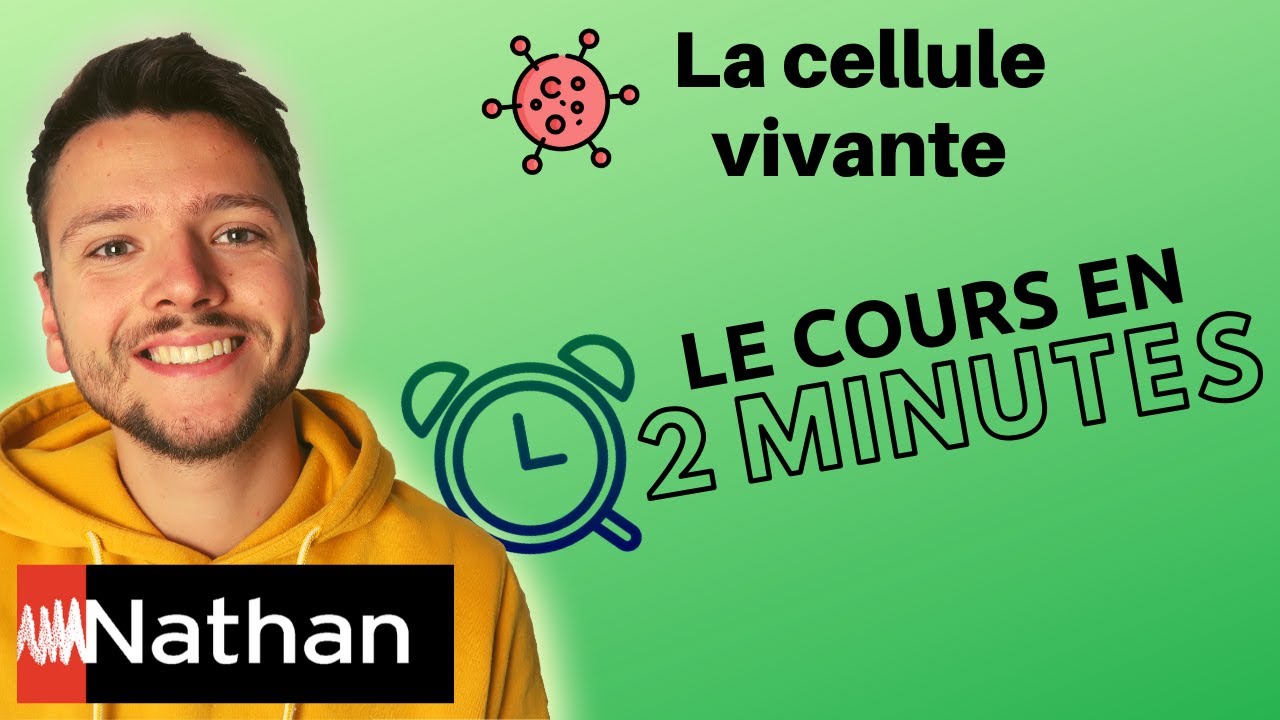 La cellule vivante : une structure complexe - Enseignement Scientifique - Premi&egrave;re