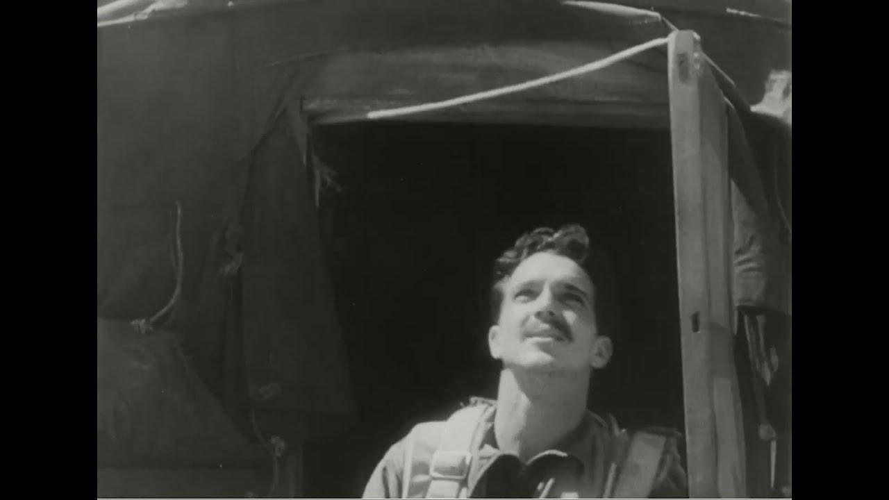 P-51 (F-51) MUSTANGS IN KOREA, KOREAN WAR