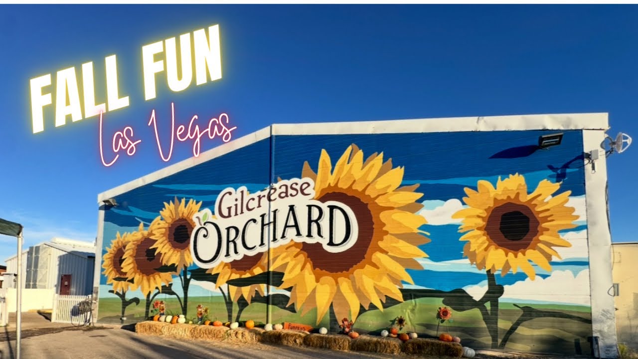 Pumpkin Patch and Fall Fun in Las Vegas - Gilcrease Orchard 🎃🌻🌅