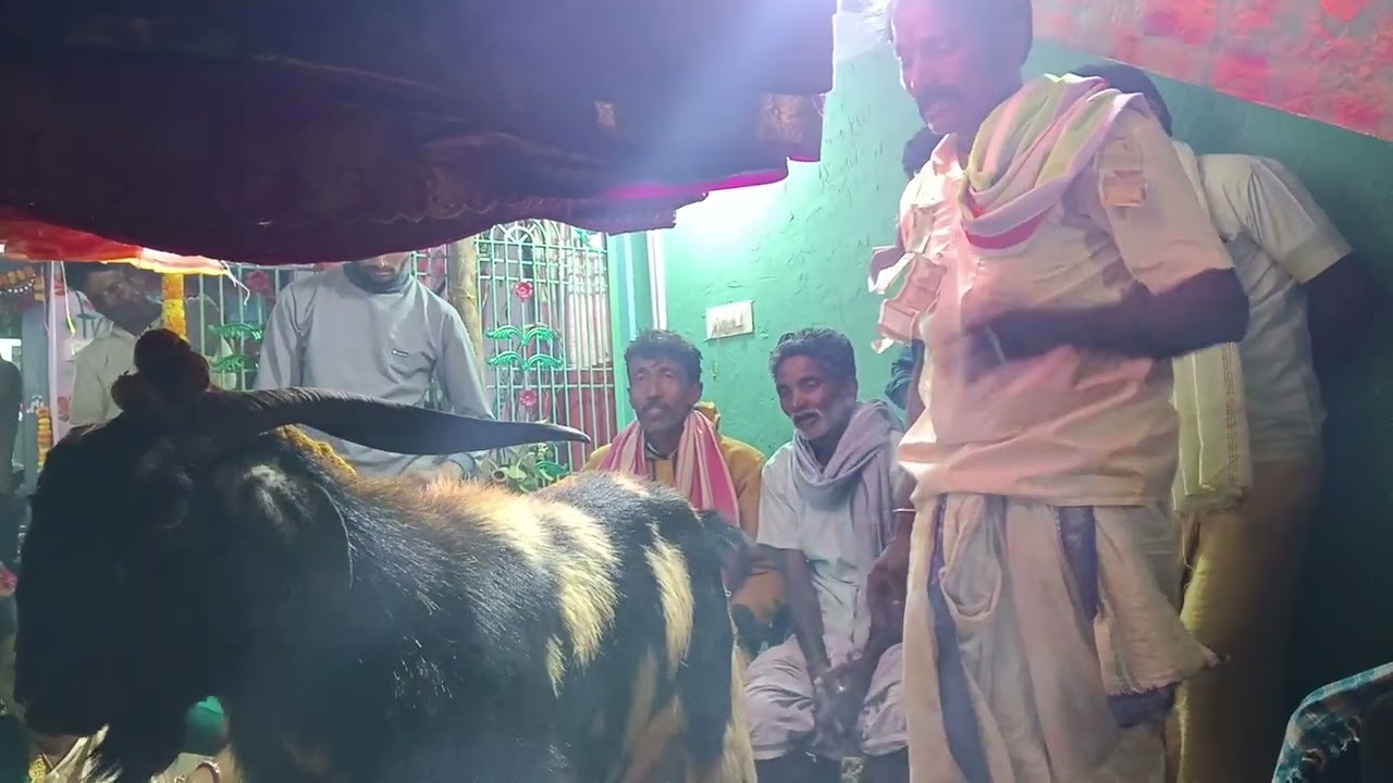 avala sriram golla chaduvu gollavpete 9618237790