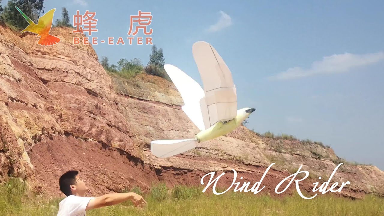 Wind Rider