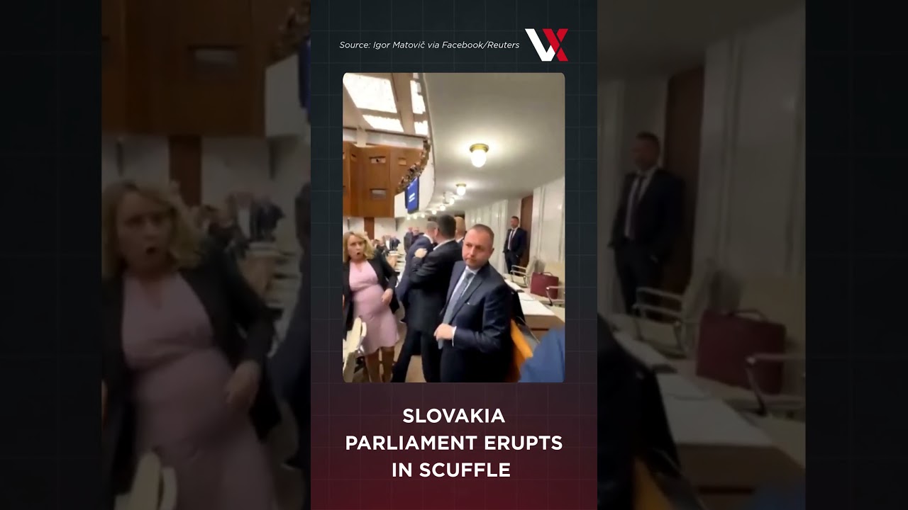 WATCH | Slovak Parliament Erupts In Scuffle Over Whistleblower & Crown Witness Law Shake‑Up | VERTEX