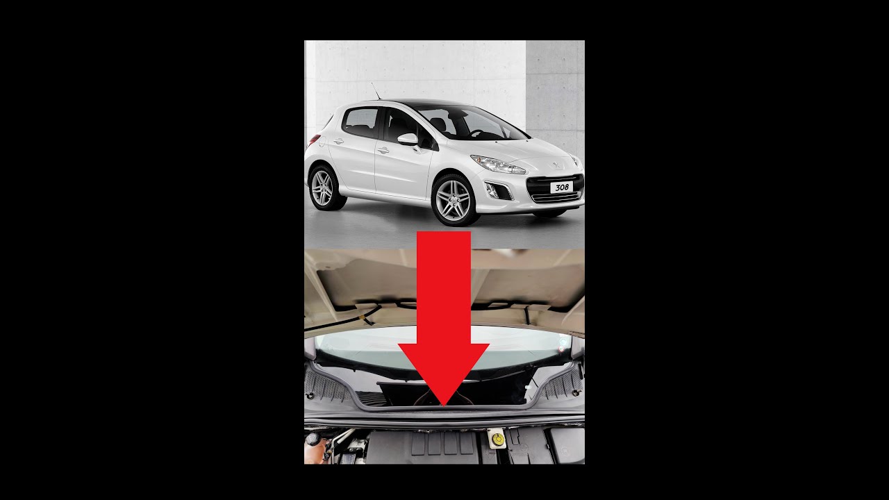 Borracha de acabamento entre a grade e o parabrisa - Compatível com Peugeot 308 e 408