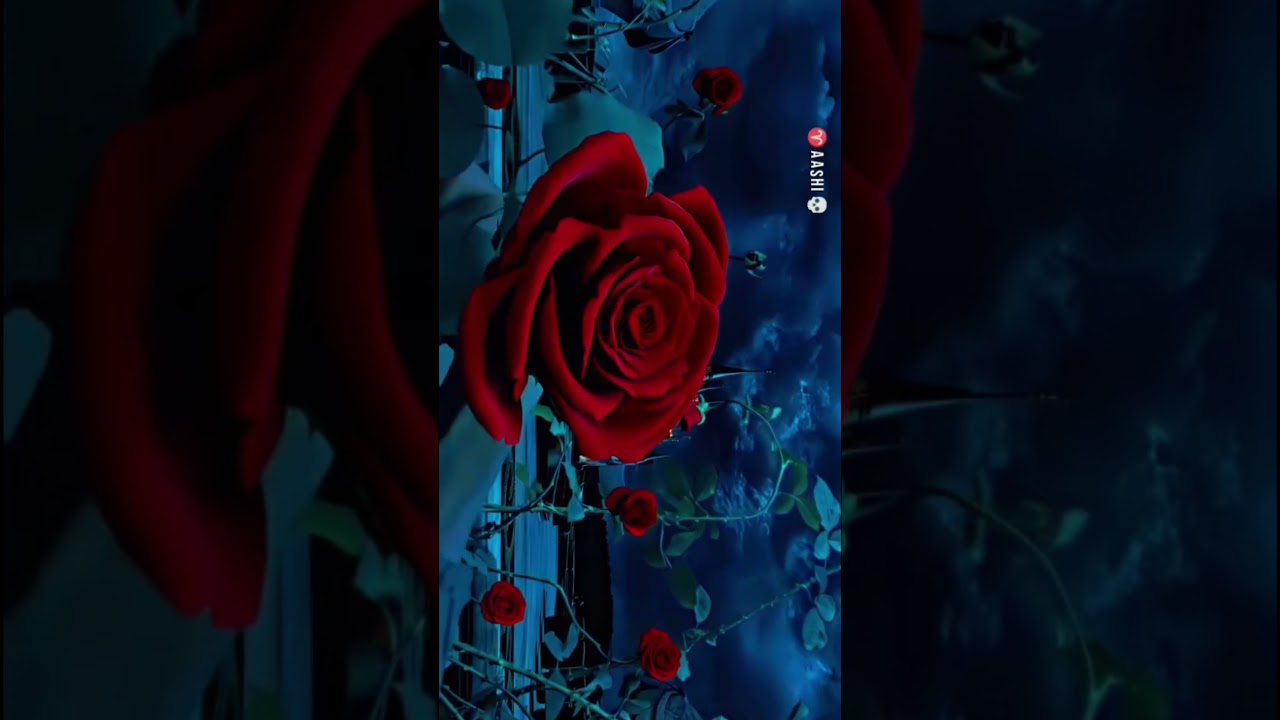 Beauty and the Beast edit .