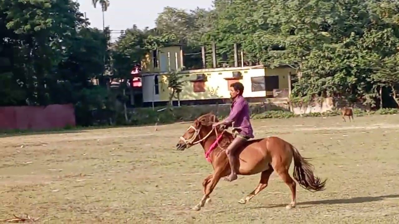🏇🥰বাংলার নবাব বাংলার🏇🇧🇩 নবাব সিলেট গুড়া🌍🏇 ভাইরাল নতুন🌍💘🏇 নতুন অংশ গ্রহণ করছে 🇬🇧