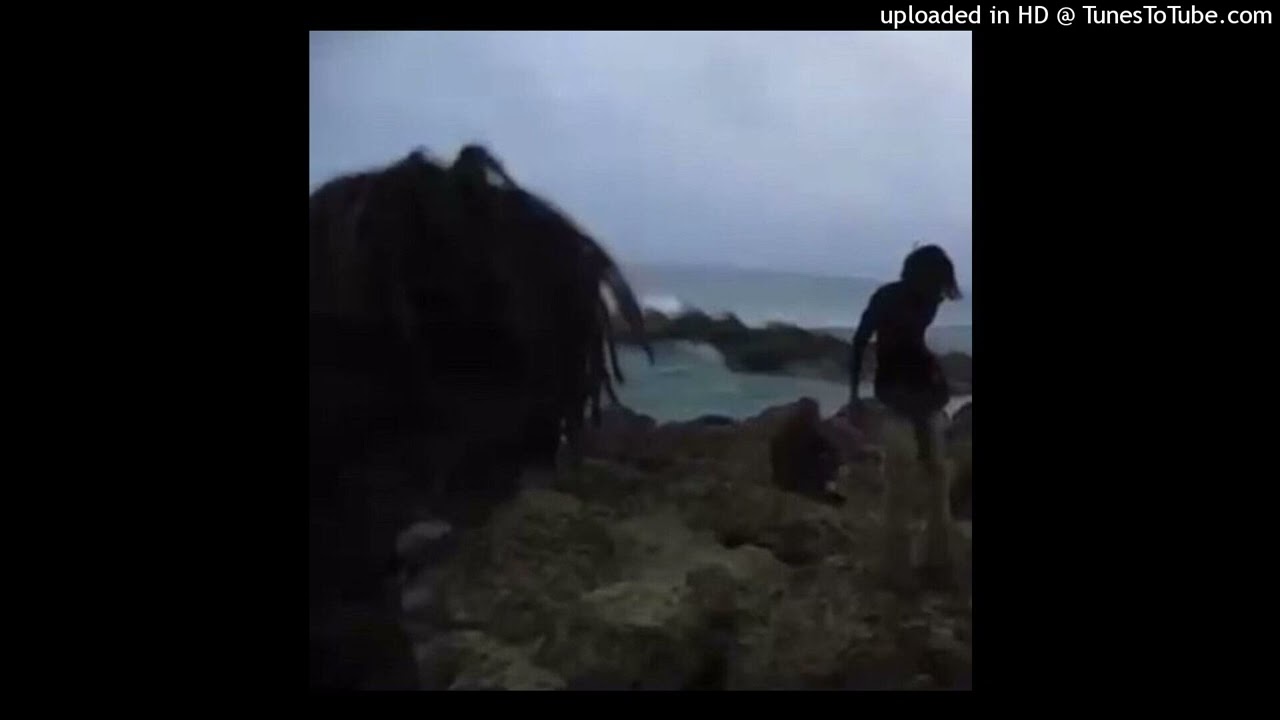 [free] bleood + zatru + che type beat