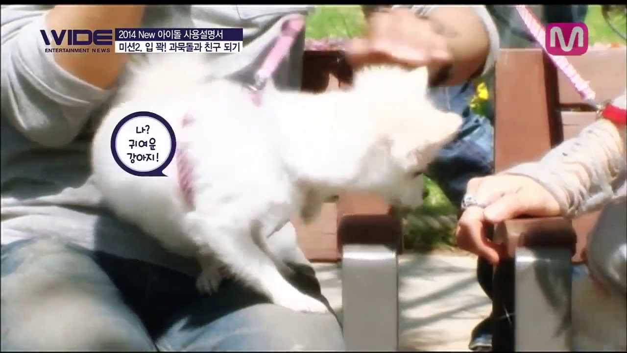 [ENGSUB]Tips making friends with Wondergirls Sohee, EXO Siwumin, VIXX Leo