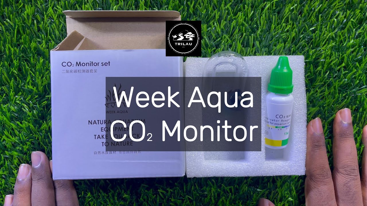 Week Aqua CO2 Monitor Review | Drop Checker for Planted Aquarium CO2 Levels | TRILAU