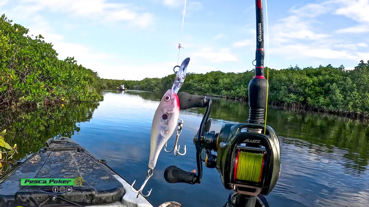 El MEJOR SEÑUELO para PESCAR en el MANGLAR