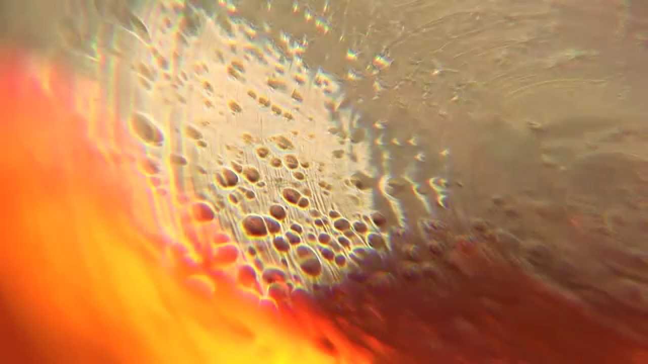 Inner World