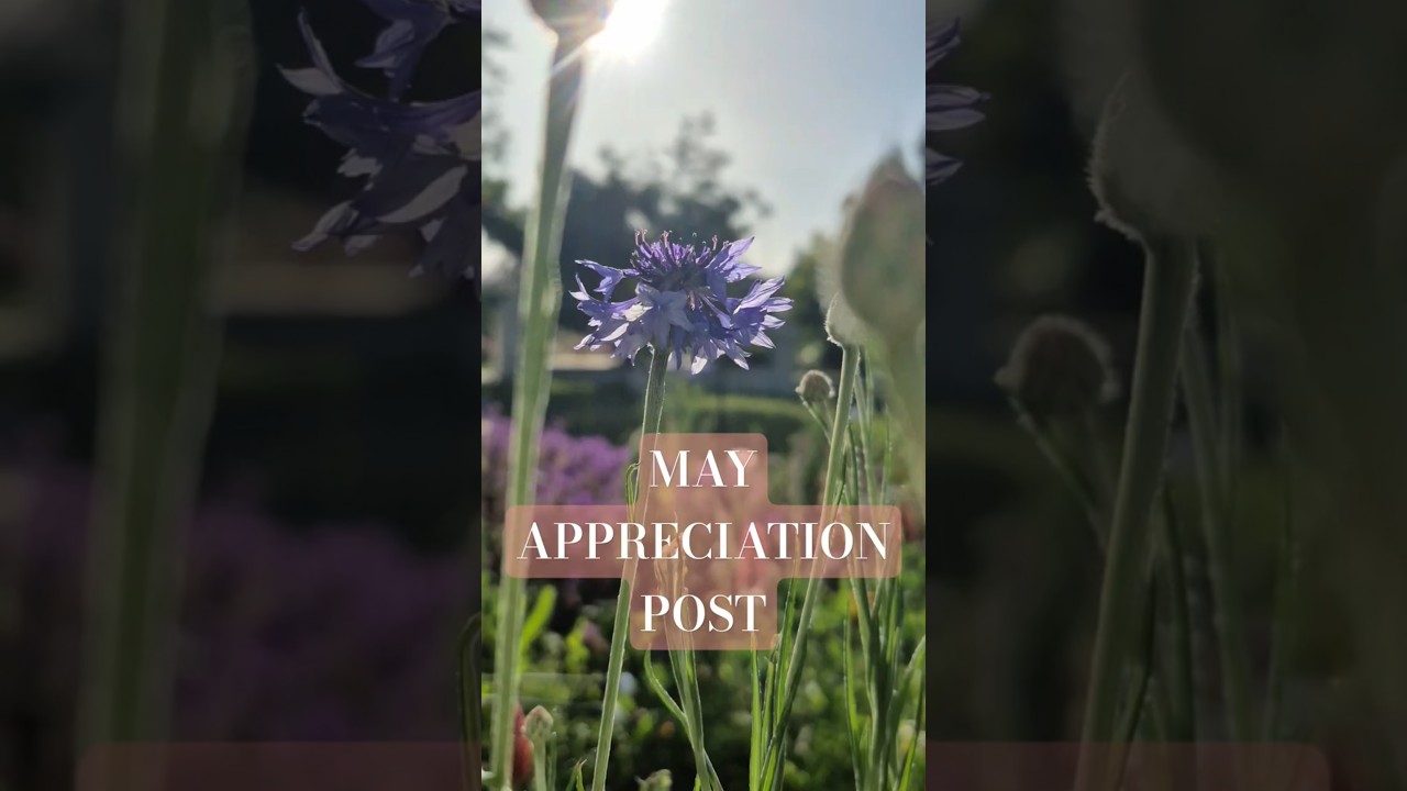 May Appreciation Post. #garden #gardenplants #gardening #nature #flowers #flowersbloom