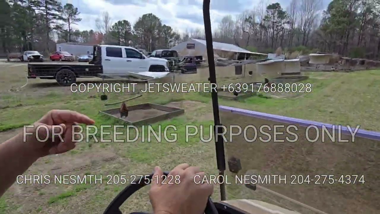 BLACKWATER FARM TOUR 2