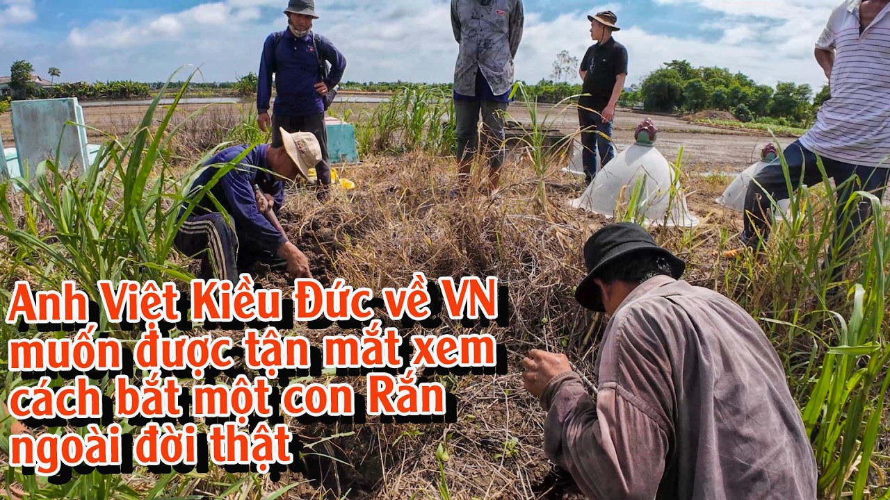 [SĂN BẮT RẮN] Buổi trải nghiệm của Anh Việt kiều Đức | TGSB #911