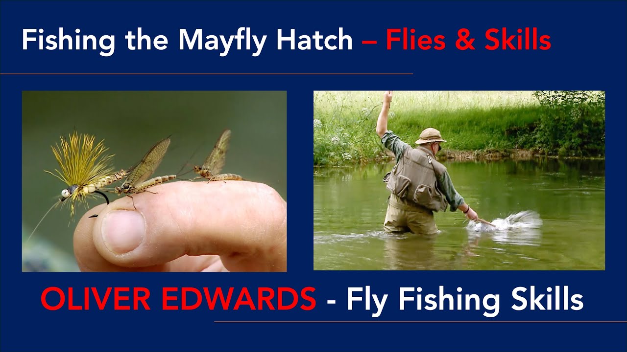 Оливер Эдвардс демонстрирует, как ловить вылупившуюся подёнку